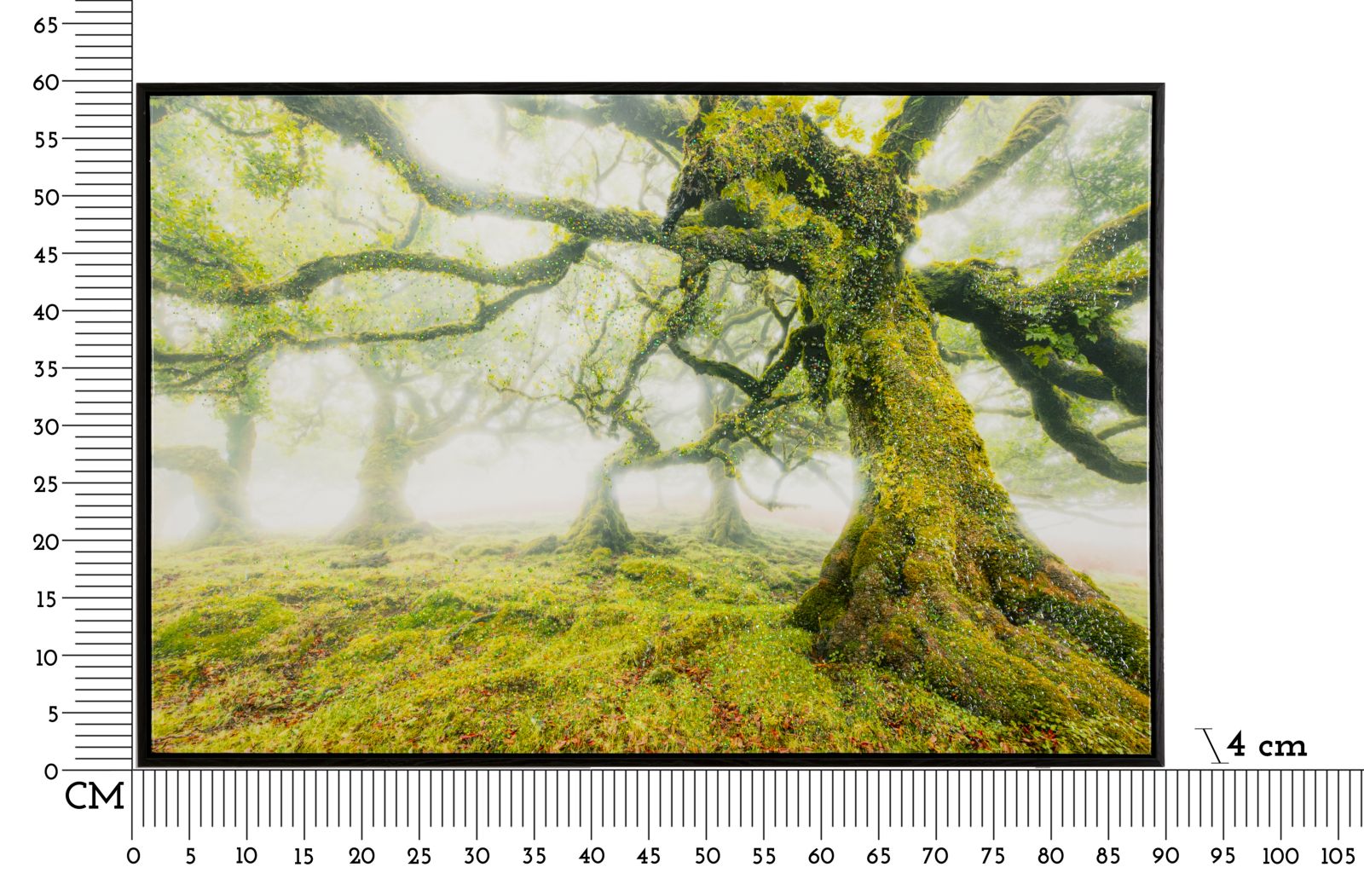 Product Image-4