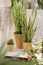 Macetero de junco de mar natural Nori