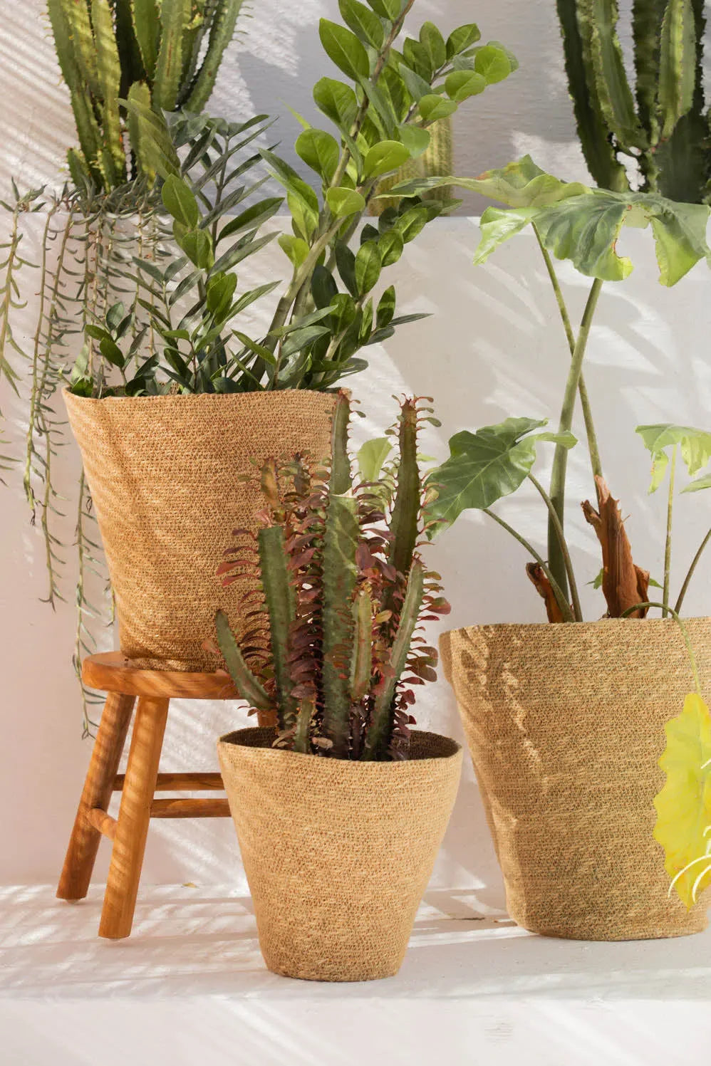 Macetero de junco de mar natural Nori