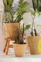 Macetero de junco de mar natural Nori