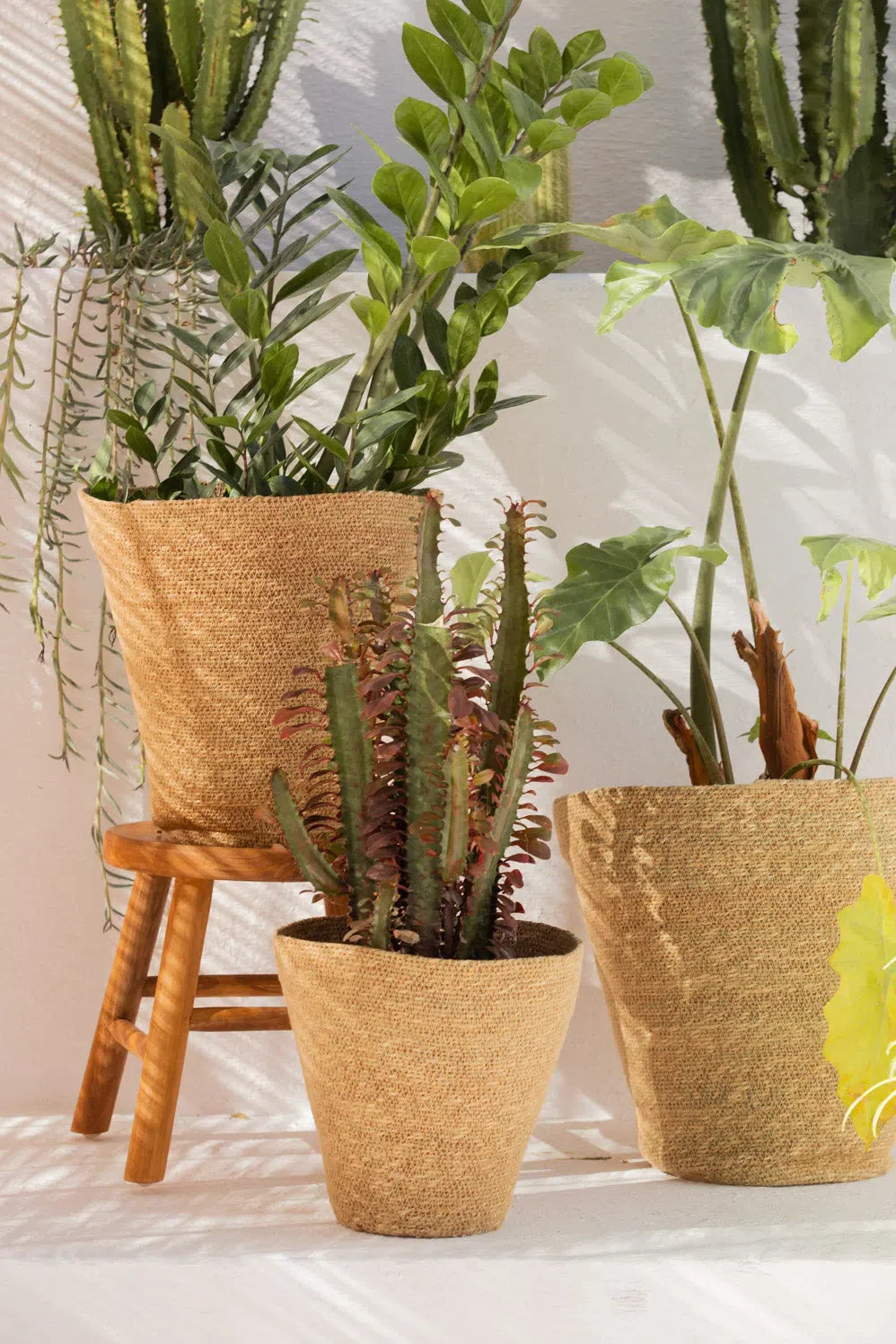 Macetero de junco de mar natural Nori