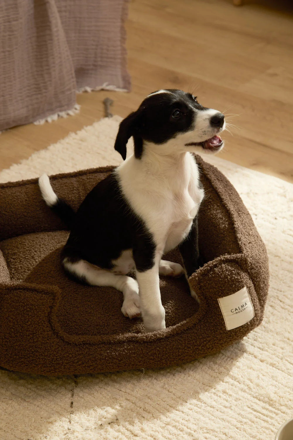 Cama para mascota de ext. poliéster. int. poliéster Taico 87x58x25