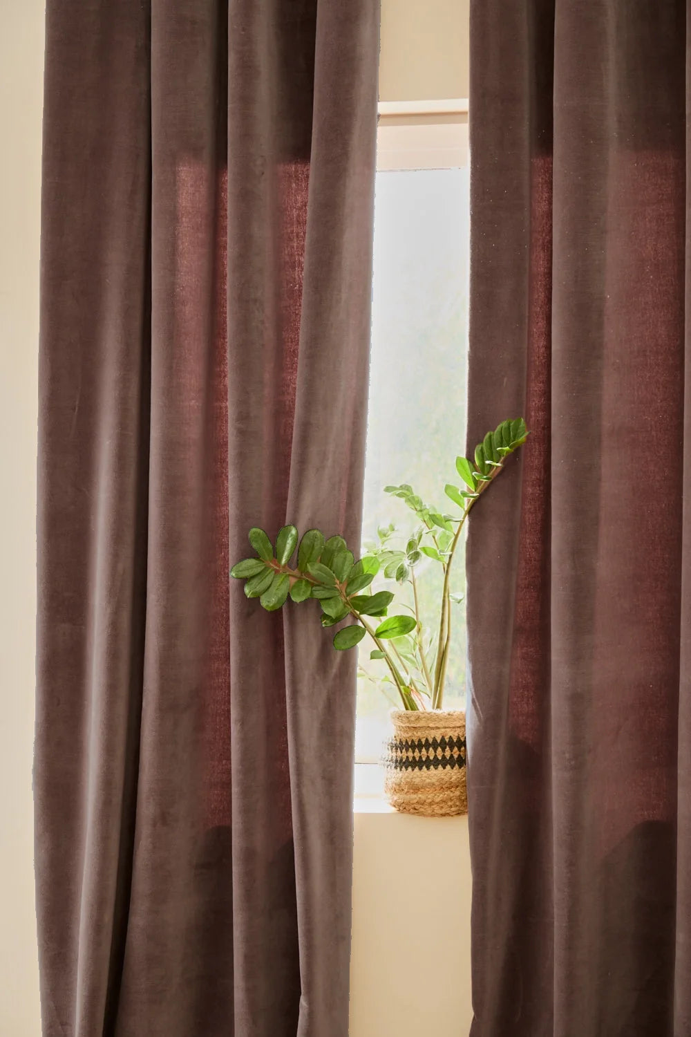 Cortina de algodón marrón Velour