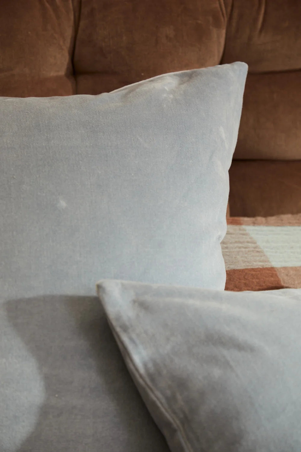 Funda de cojín de algodón Velour