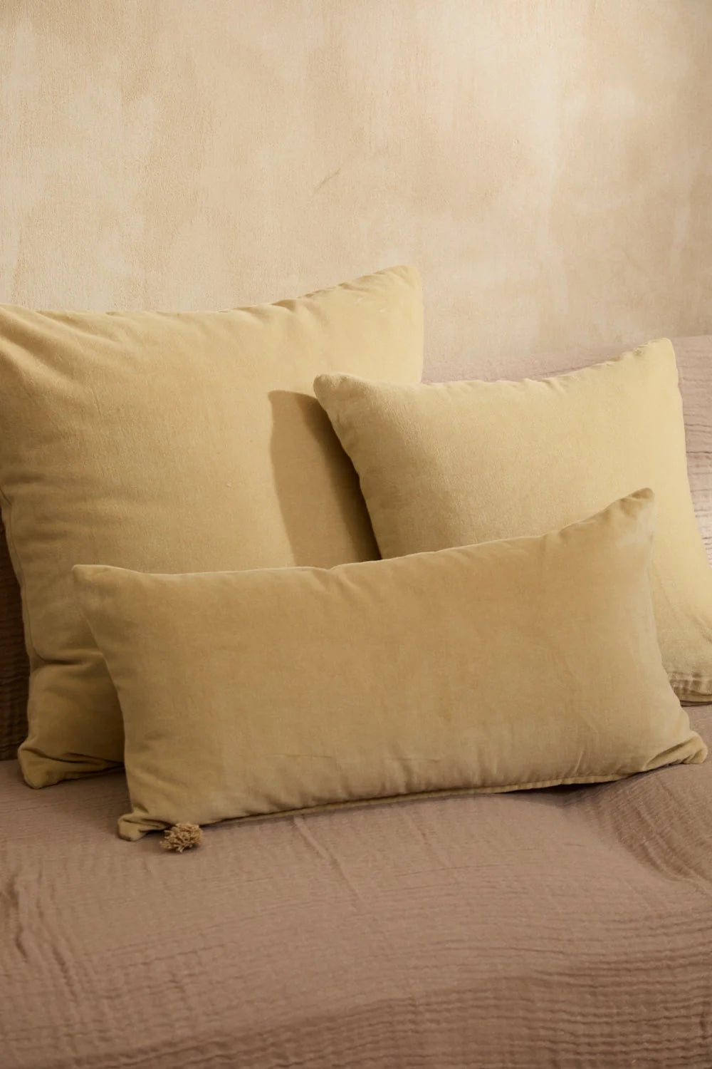 Funda de cojín de algodón Velour