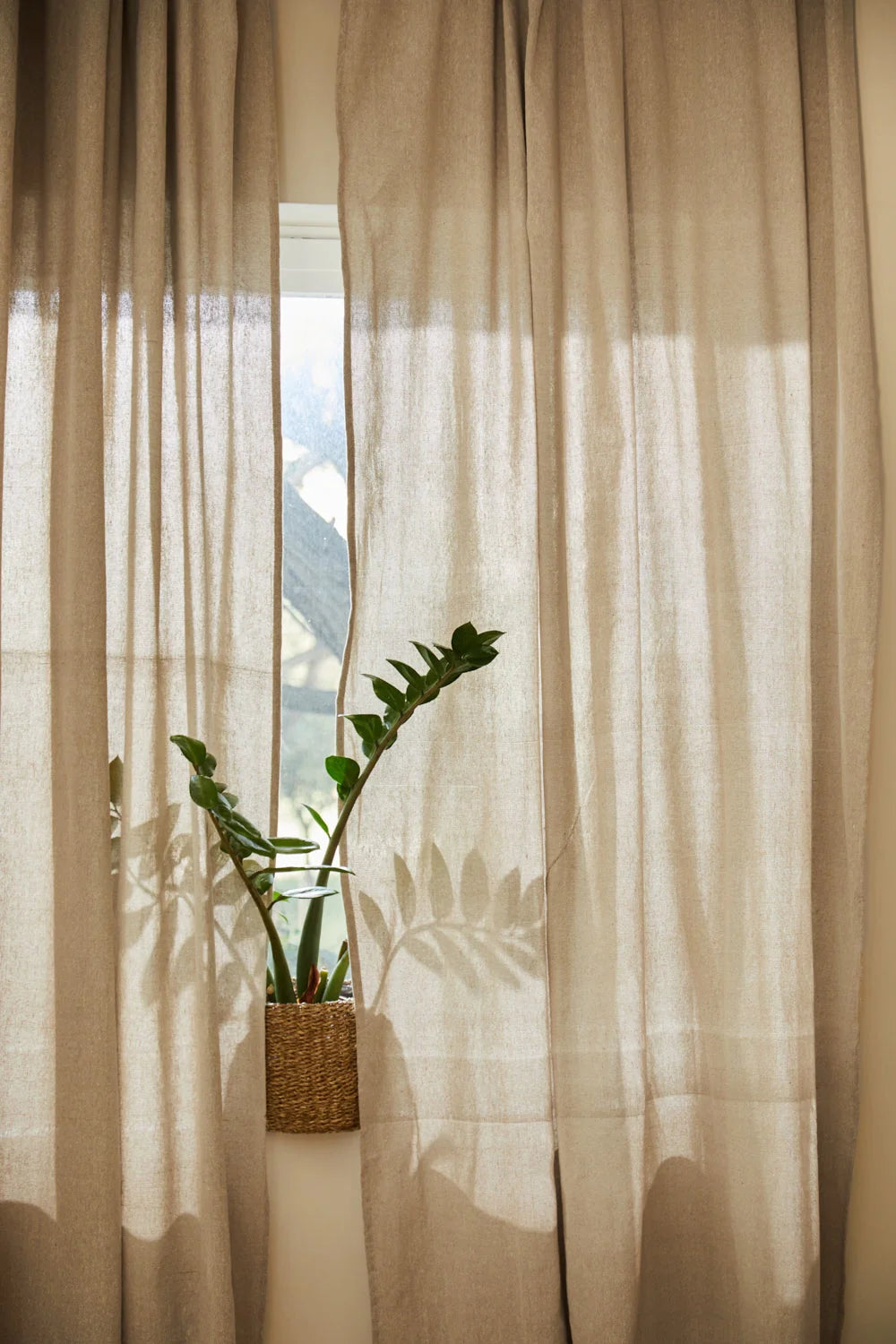 Cortina de algodón natural Llaut